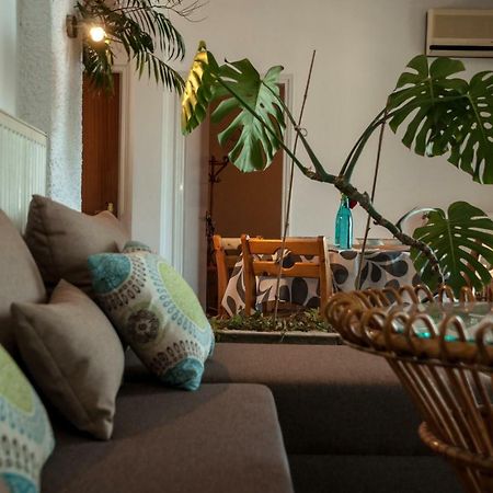 Paradise View Apartment PalaiónTsiflíkion Εξωτερικό φωτογραφία