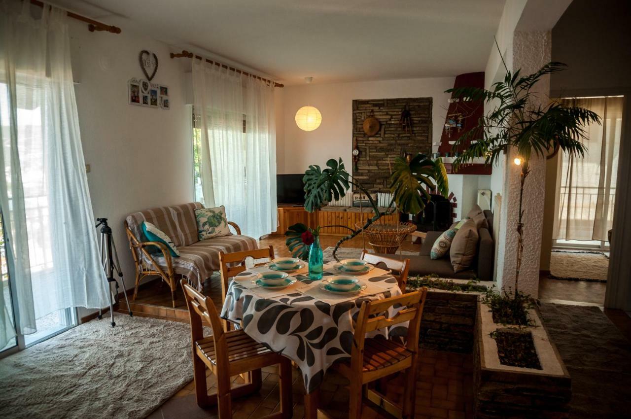 Paradise View Apartment PalaiónTsiflíkion Εξωτερικό φωτογραφία