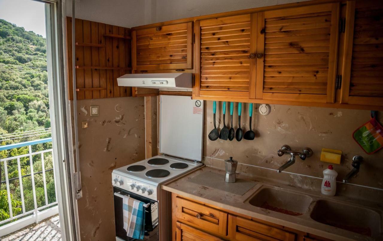 Paradise View Apartment PalaiónTsiflíkion Εξωτερικό φωτογραφία